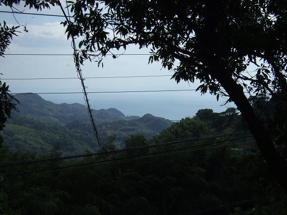 b0107771_0293715.jpg
