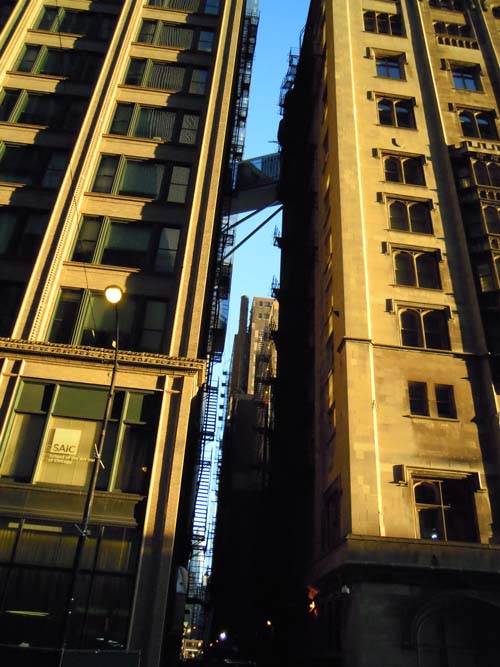 e0098472_7371772.jpg