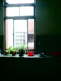 c0108673_0254158.jpg