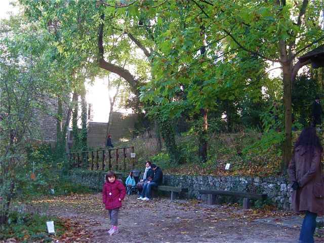 d0008073_16523140.jpg