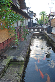 a0062983_22134119.jpg