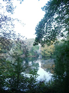 f0169885_4325359.jpg
