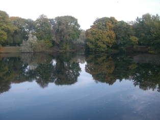f0169885_4362021.jpg