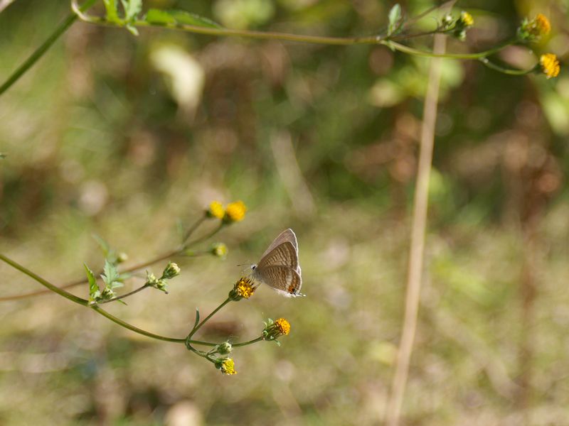 b0108186_016555.jpg
