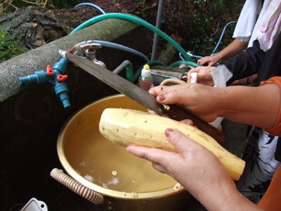 e0028387_1782556.jpg