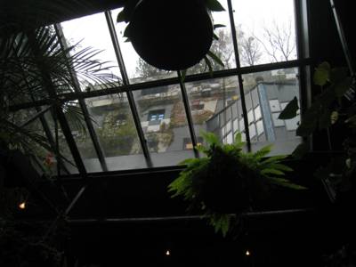 a0105289_0174491.jpg