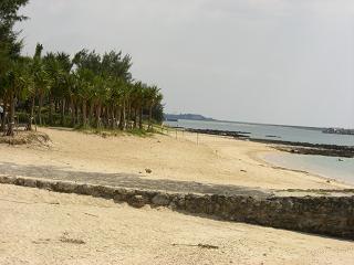b0164291_1132283.jpg