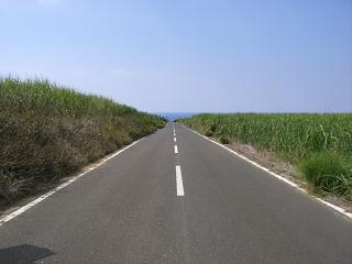 b0164291_1134388.jpg