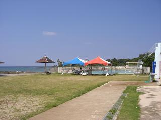 b0164291_255349.jpg