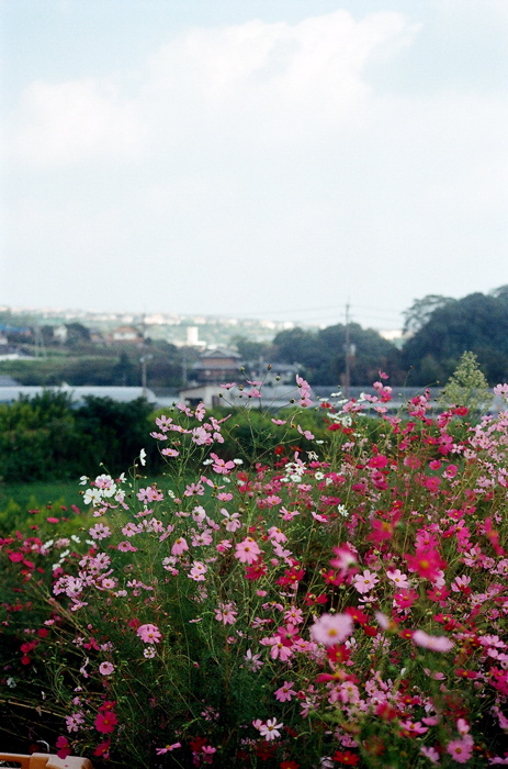 b0143293_0173246.jpg