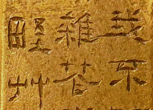 c0037093_541522.gif
