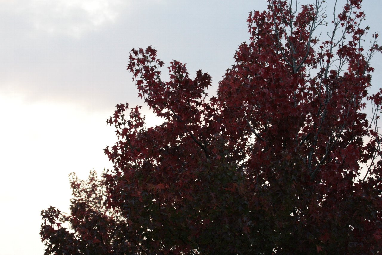 e0167295_0264174.jpg