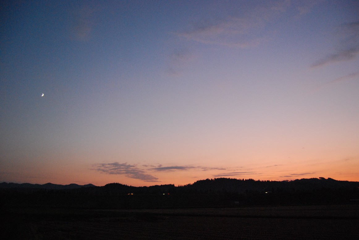 d0085096_14193715.jpg