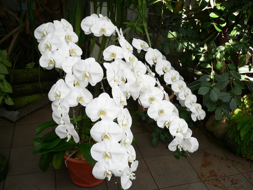 f0206596_23223750.jpg