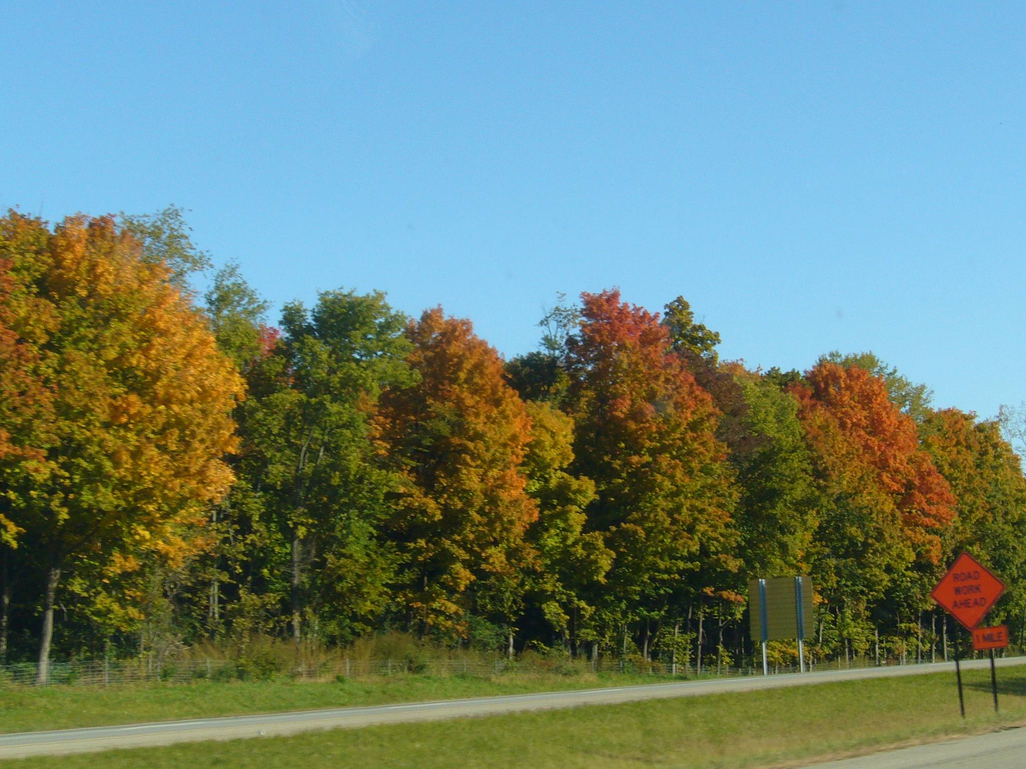 f0169397_9111935.jpg