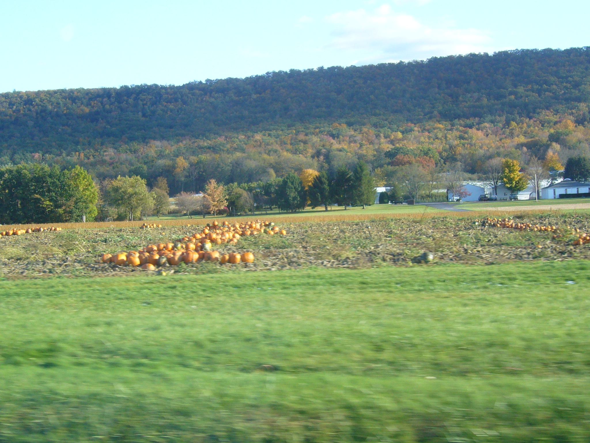 f0169397_9234828.jpg