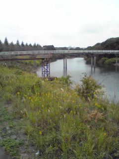 f0122998_21115212.jpg