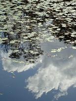 c0208099_144457.jpg
