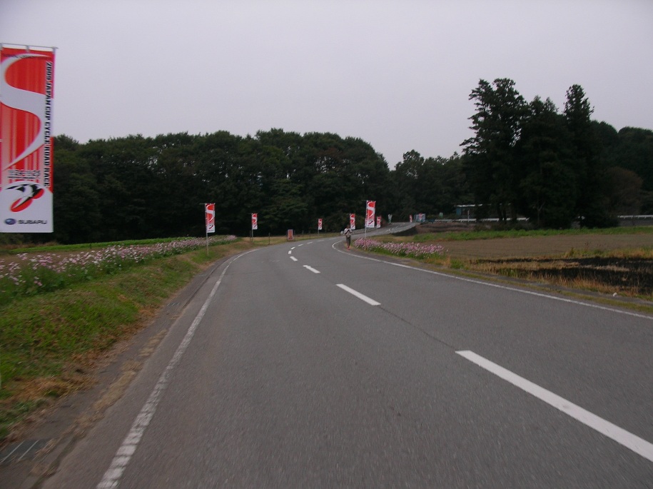 b0092300_23593977.jpg
