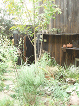 c0129702_15424316.gif