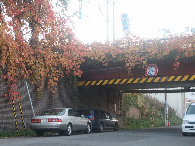 f0202703_22505916.jpg