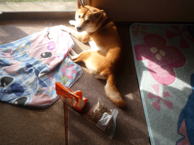 e0018604_2020622.gif