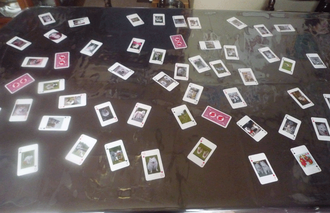 e0018604_20391735.gif