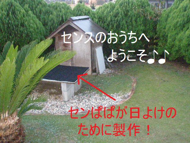 c0205806_14203434.jpg