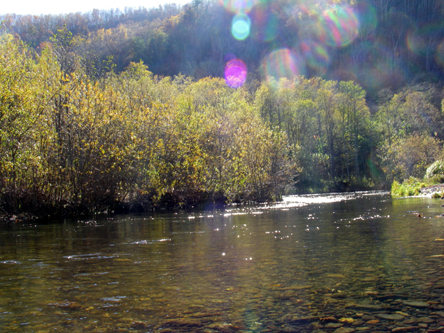 d0051707_15402572.jpg