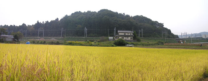 f0143412_2014976.jpg