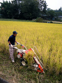 f0143412_2042220.jpg