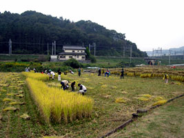 f0143412_2052135.jpg