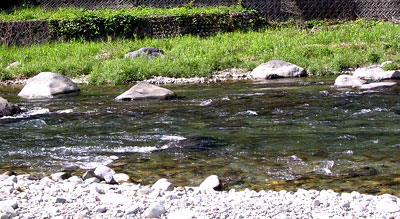 f0036716_1330131.jpg