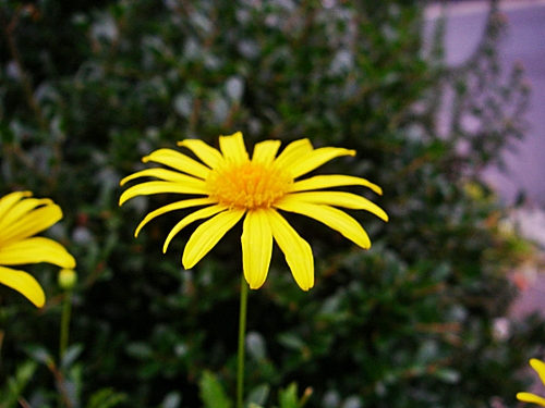 d0144618_205506.jpg