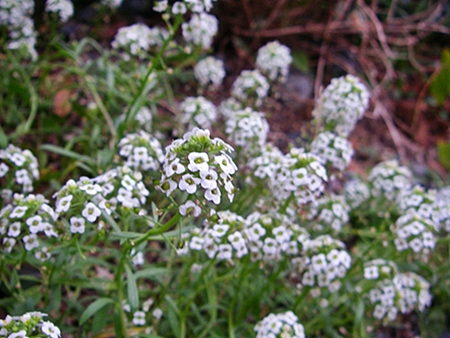 d0144618_20562270.jpg
