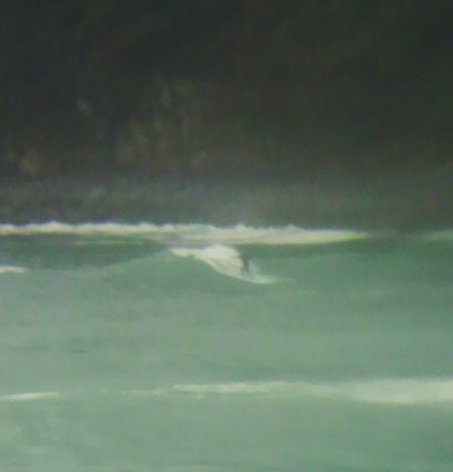 c0160825_19272742.jpg