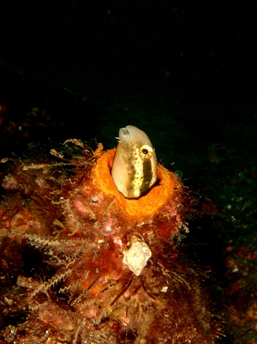 c0034029_21424816.jpg