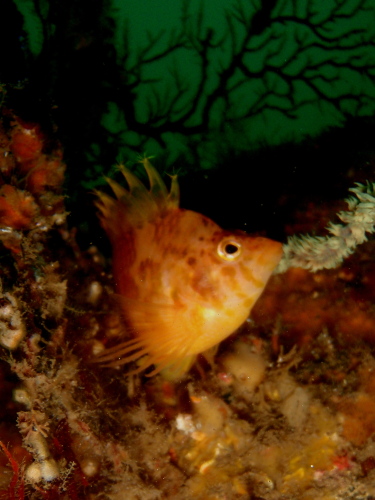 c0034029_21443236.jpg