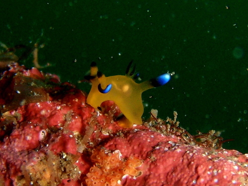 c0034029_21452417.jpg