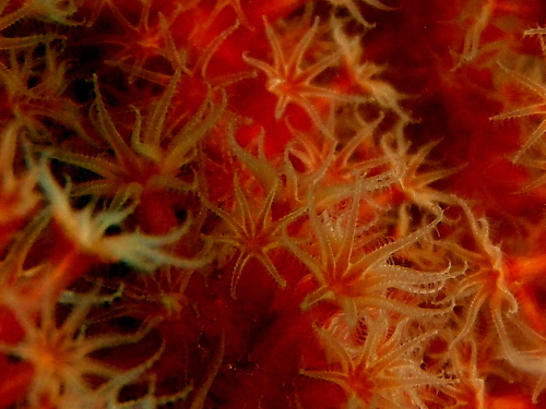 c0034029_21485828.jpg