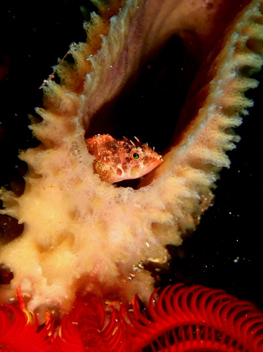 c0034029_2243920.jpg