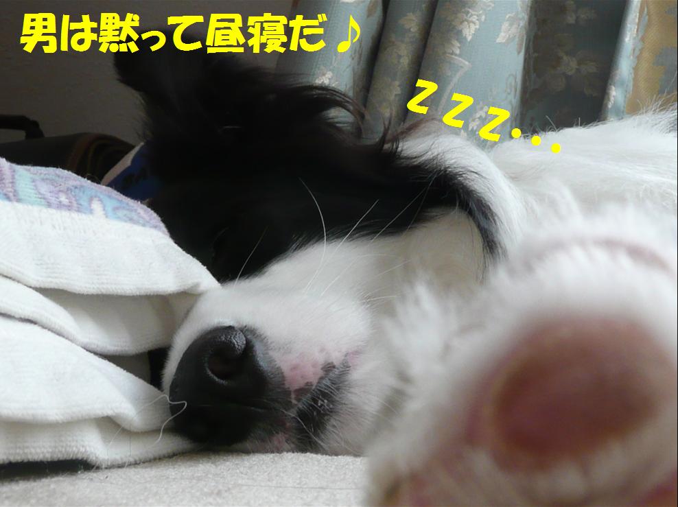 c0147241_2030463.jpg