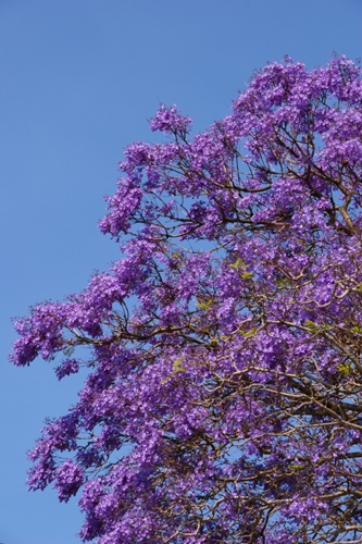c0134543_1531541.jpg