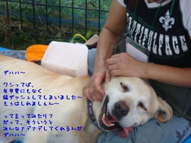 c0218443_18315220.jpg