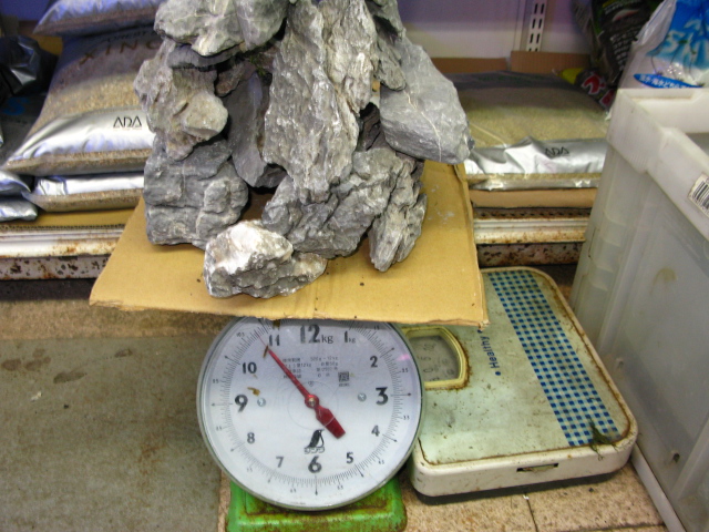 f0198950_20553049.jpg
