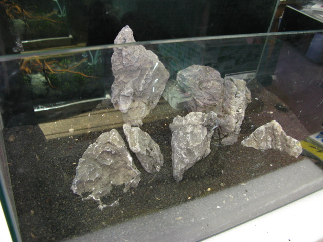 f0198950_2055713.jpg