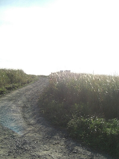 f0009451_2231939.jpg