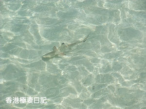 f0190653_17542782.jpg