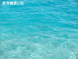 f0190653_17551490.jpg