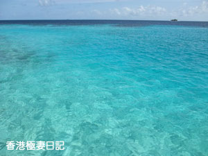 f0190653_17552457.jpg